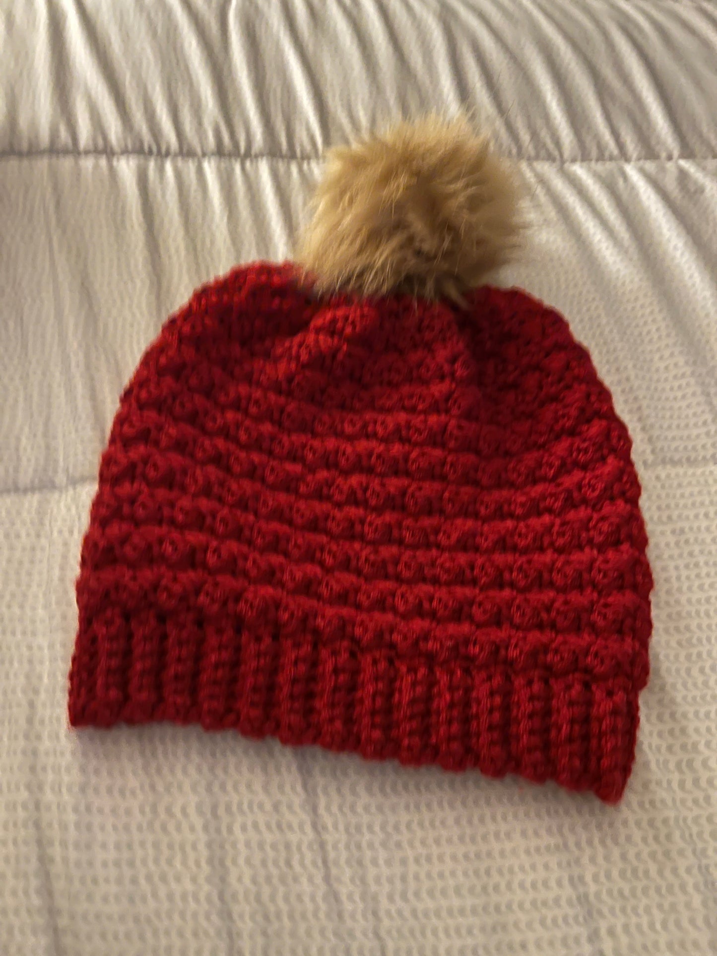 Christmas Beanie